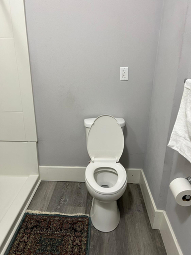 Bathroom 1, House w Separate 4 Private Bedrooms, Saint Joseph