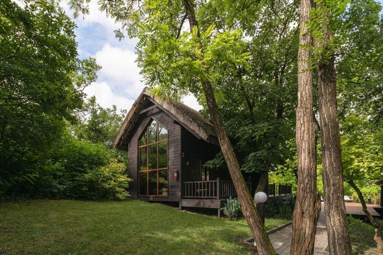 Primary image, Tree House Relax Park