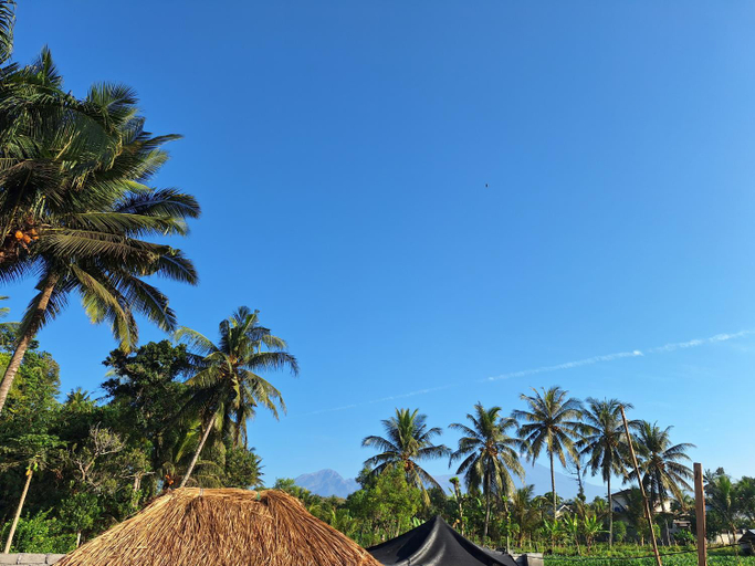 Others 5, D' Rinjani View Bungalow, Lombok
