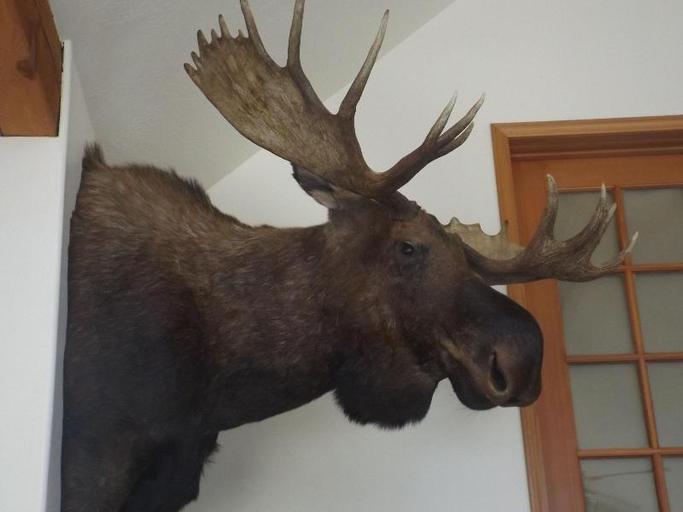 Others 5, Clark Fork Lodge, Bonner