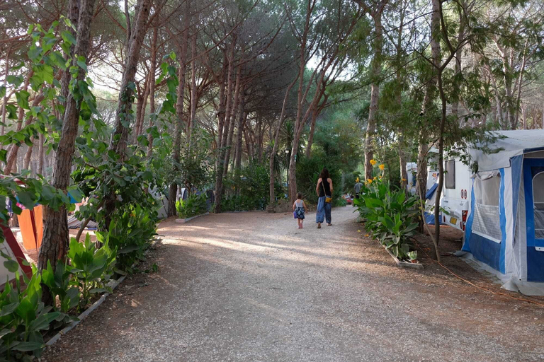 Others 4, Happy Camp in Selema Camping, Nuoro