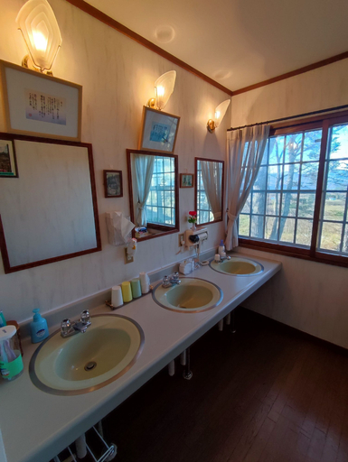 Bathroom 4, Asama1155, Tsumagoi