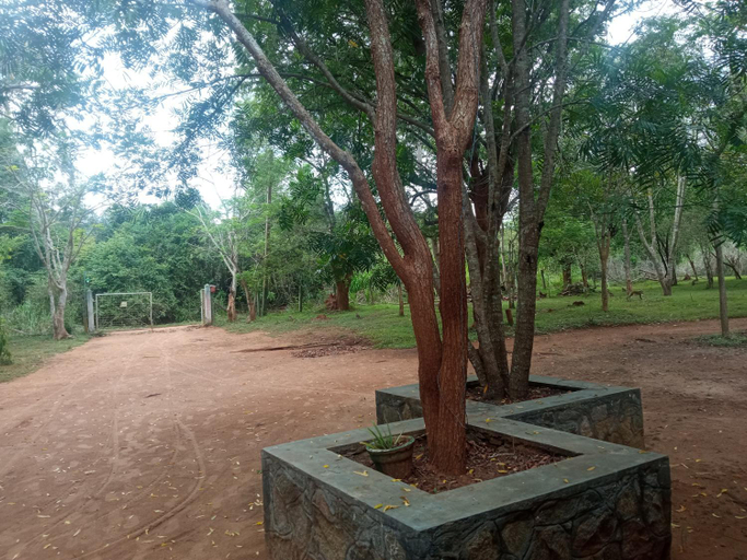 Others 4, Park view Bungalow Wilpattu, Nochchiyagama