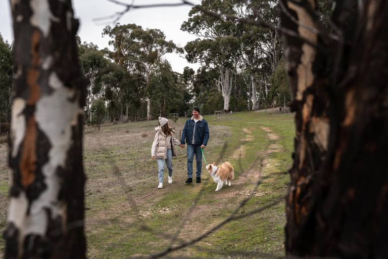 Others 5, CABN Hahndorf, Adelaide