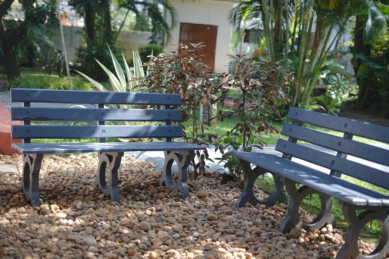 Others 4, Alfred Place, Ernakulam