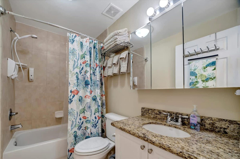 Bathroom, Sunlit Bayview Suite Balcony Pool Hot Tub, Pinellas