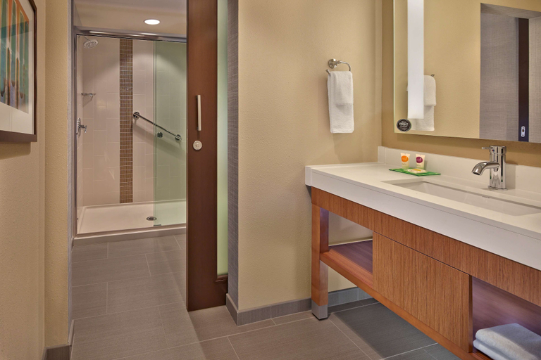 Bathroom 4, Hyatt Place Chapel Hill / Southern Village, Orange