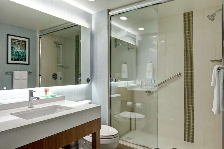 Bathroom 3, Hyatt Place Madison / Verona, Dane