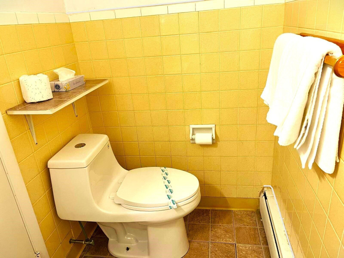Bathroom 5, BUENA VISTA INN, Delaware