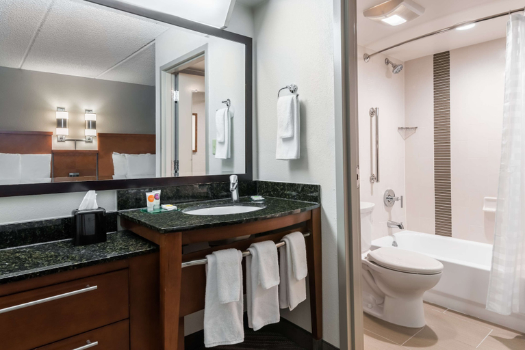 Bathroom 4, Hyatt Place Atlanta/Duluth/Johns Creek, Fulton