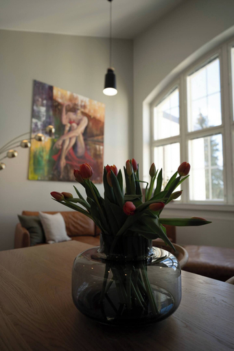 Interior detail 4, Historical 1BR Penthouse with Sauna, North Savonia