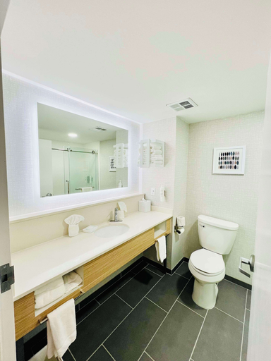 Bathroom 4, Hampton Inn Stony Creek/Petersburg Area, Sussex