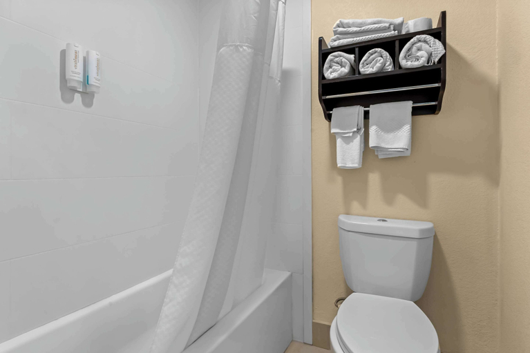 Bathroom 4, Econo Lodge Inn & Suites Santa Rosa, Guadalupe