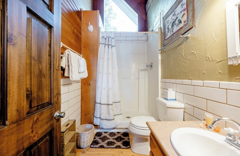 Bathroom 3, Baldy Bear, Summit