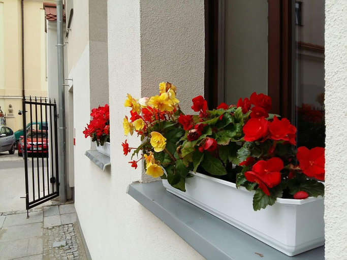 Exterior & Views 2, Kamienica Pod Aniolami, Środa Śląska