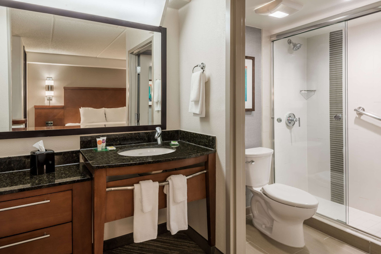 Bathroom 4, Hyatt Place Atlanta/Duluth/Johns Creek, Fulton