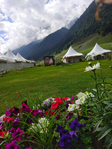 Others 5, Sheenwoods Riverside Resort & Spa, Ganderbal
