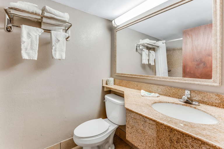 Bathroom 5, Red Carpet Inn & Suites, Philadelphia
