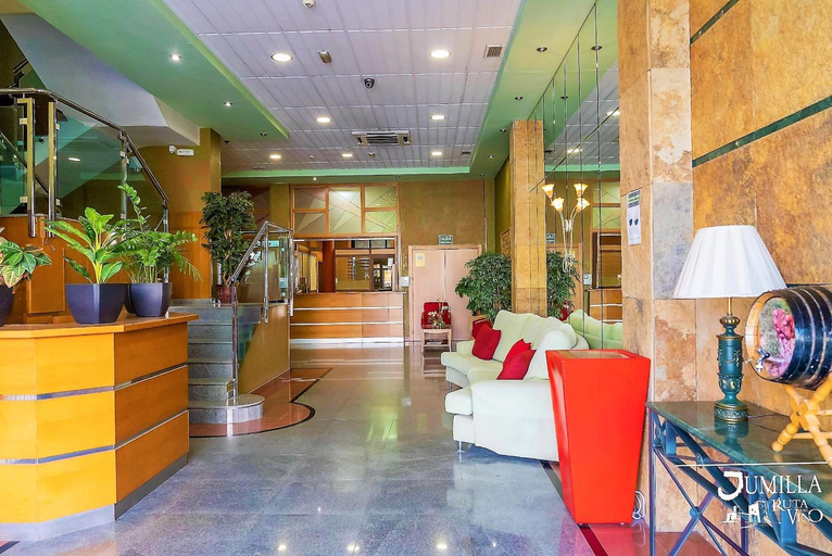 Public Area 3, Hotel Pio XII Jumilla, Murcia