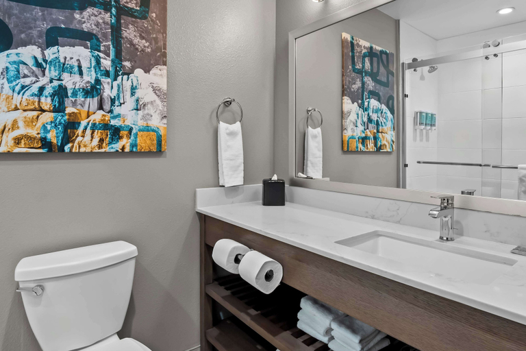 Bathroom 4, Best Western San Bernardino Hotel, San Bernardino
