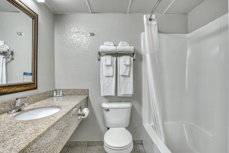 Bathroom 3, Quality Inn & Suites Green Bay Downtown, Brown