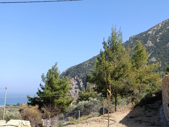 Others 4, Altheas Maisonettes, Peloponnese
