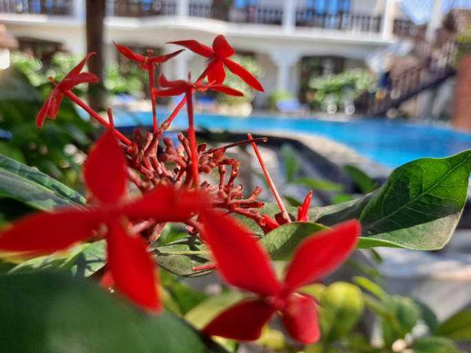 Sport & Beauty 4, The New Blue Waves Hotel, Kusini