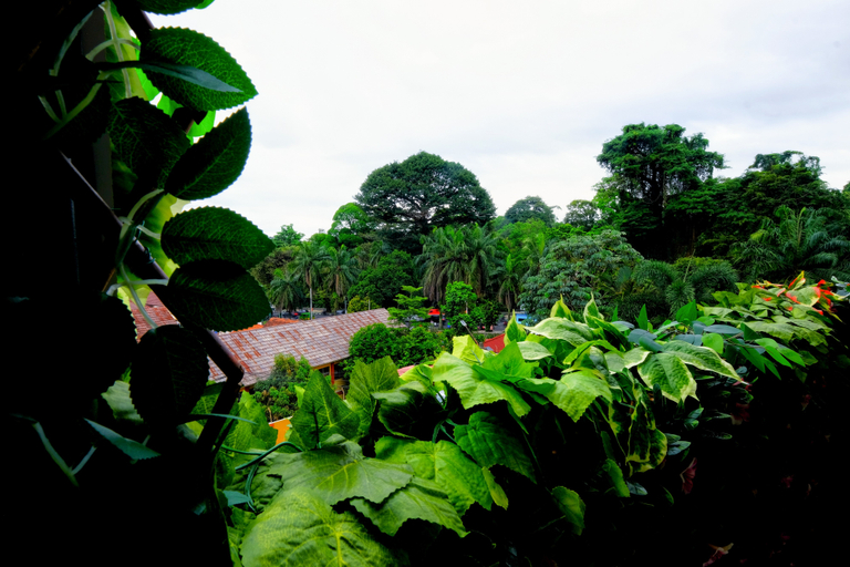 Others 4, The Marytara Residence, Bogor