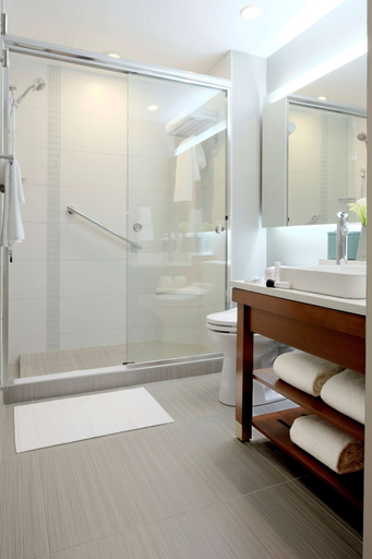 Bathroom 4, Hyatt Place Greenville Downtown, Greenville