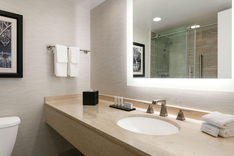 Bathroom 4, Embassy Suites by Hilton Philadelphia Valley Forge, Chester
