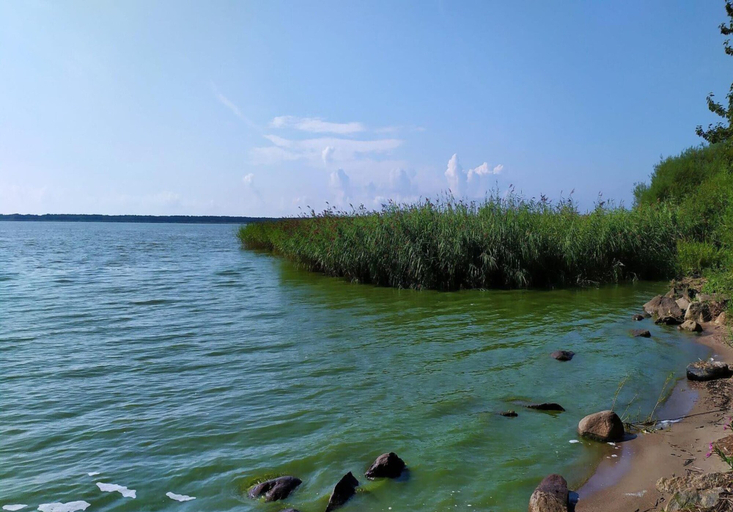 View from property 2, Comfortable Holiday Home Near Lake Jamno, Koszalin