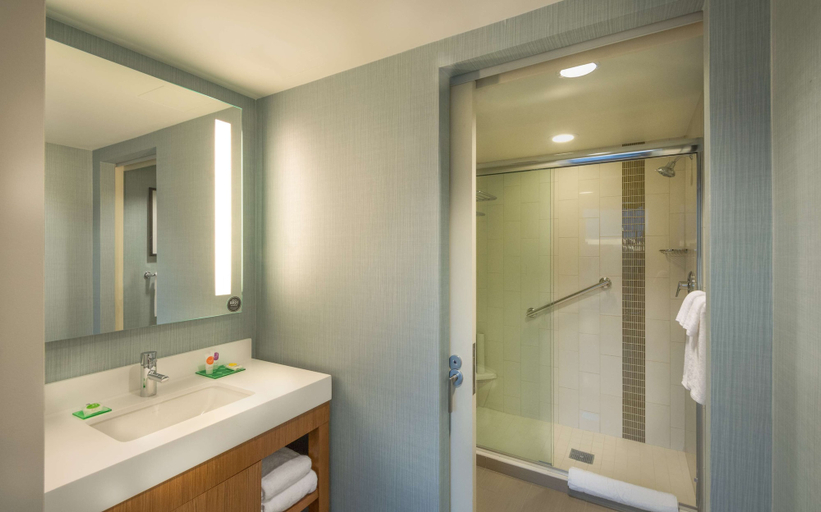 Bathroom 4, Hyatt Place Washington DC/National Mall, Washington D.C.