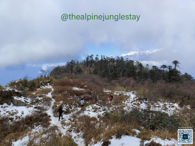 Others 5, The Alpine Jungle Stay, South Sikkim