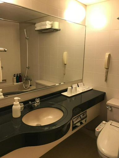 Bathroom 4, Chisun Hotel Kamata, Ōta