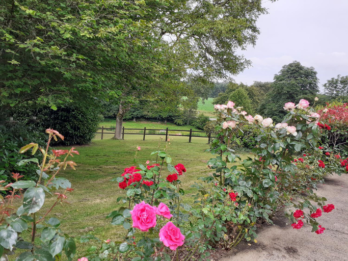 Others 2, Chambre a la campagne, Ille-et-Vilaine