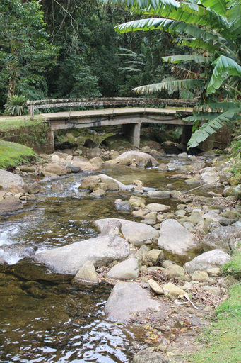 Others 4, Chales Truta Da Floresta, Bocaina de Minas