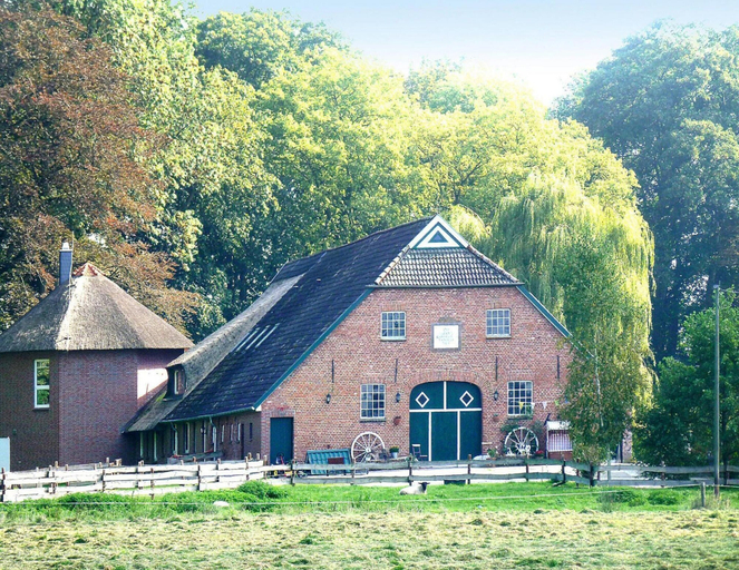Primary image