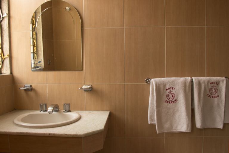 Bathroom 5, Hotel El Estadio, Mexico City
