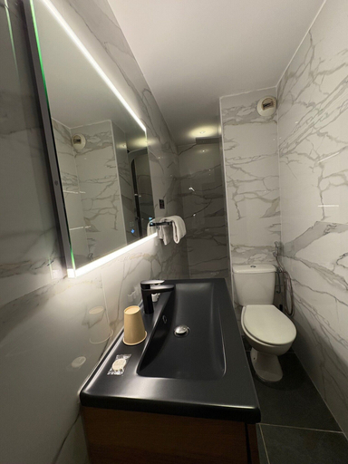 Bathroom 5, Hotel Cannes Gallia, Alpes-Maritimes