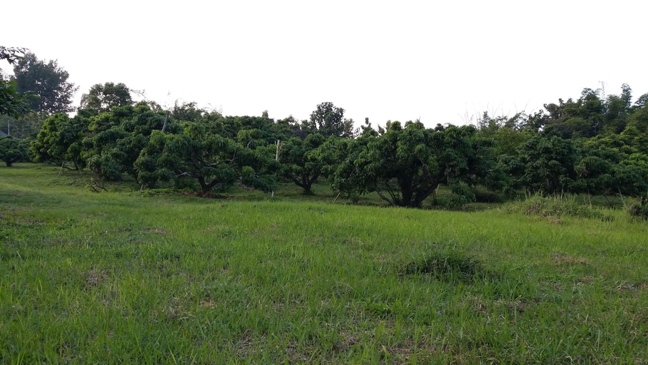 Exterior & Views 2, Baan Saun Homestay by Lamyai Khunmae, Ban Thi