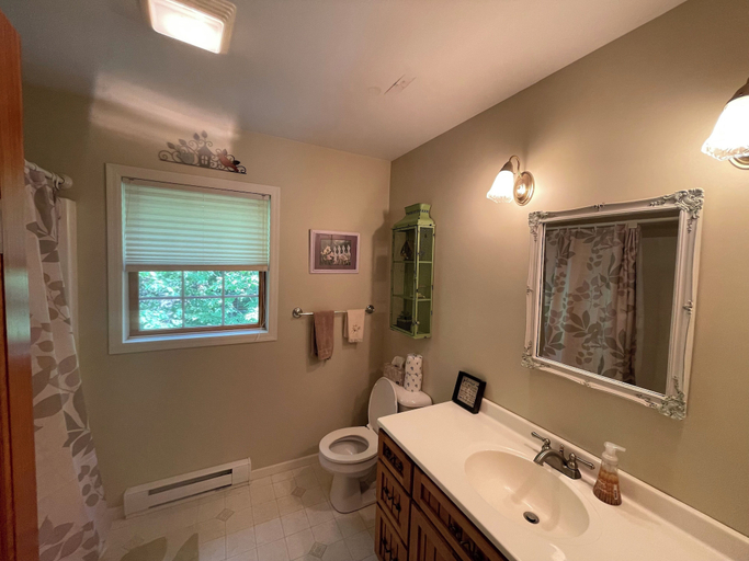 Bathroom 4, Luck Charlie Lodge, Sawyer