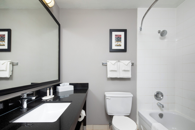 Bathroom 4, Travelodge by Wyndham Sudbury, Greater Sudbury