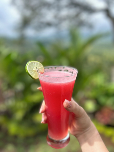 Food & Drinks 3, Punduk Villa, Karangasem