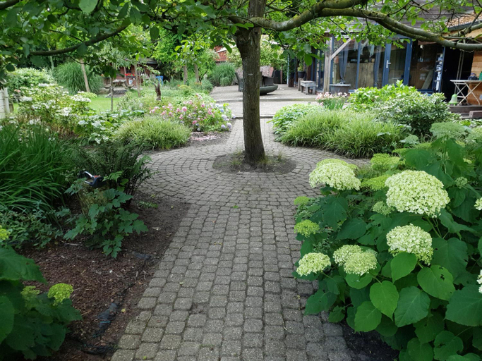 Garden 5, B&B Land of Tir Nan Og, Antwerpen