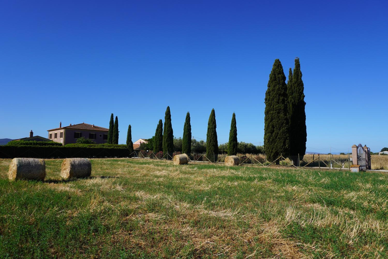 Others 5, Agriturismo Podere Santa Virginia, Grosseto