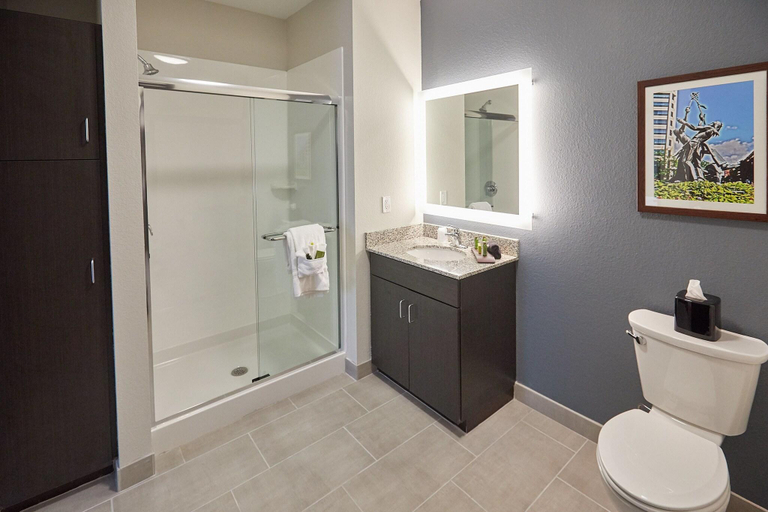 Bathroom 4, Gundersen Hotel & Suites, La Crosse