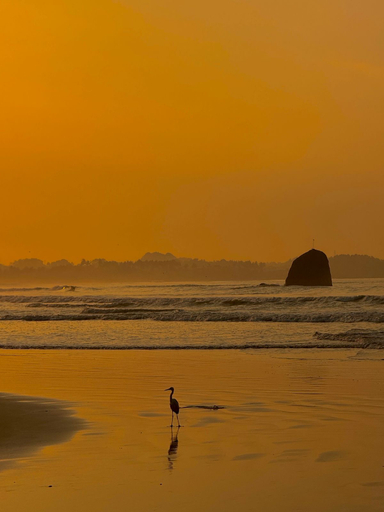 Exterior & Views 2, Wake N Flow, Weligama