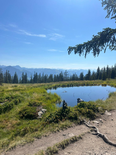 Others 3, Kohlegghof, Sankt Johann im Pongau