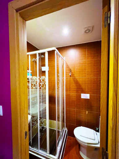 Bathroom 5, Hostal Abel Victoriano, Madrid