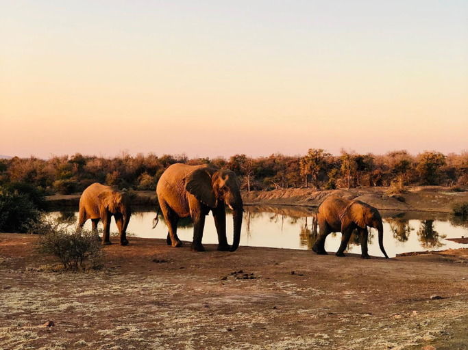 Others 3, Pangolin Game Lodge - Self Catering, incl 2 game drives per day, Bojanala